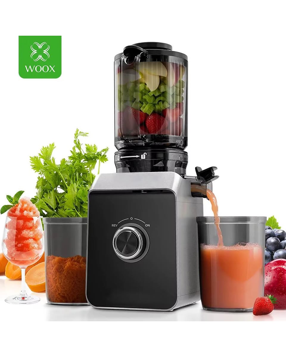 Cold Press Juicer – 160W Slow Masticating
