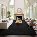 Fluffy Black Plush Area Rug
